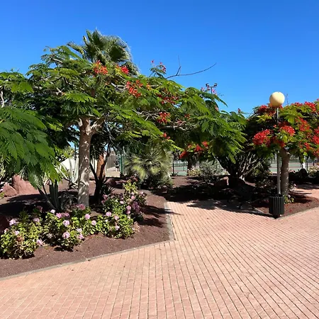 Apartament Honey Bunch Caleta De Fuste