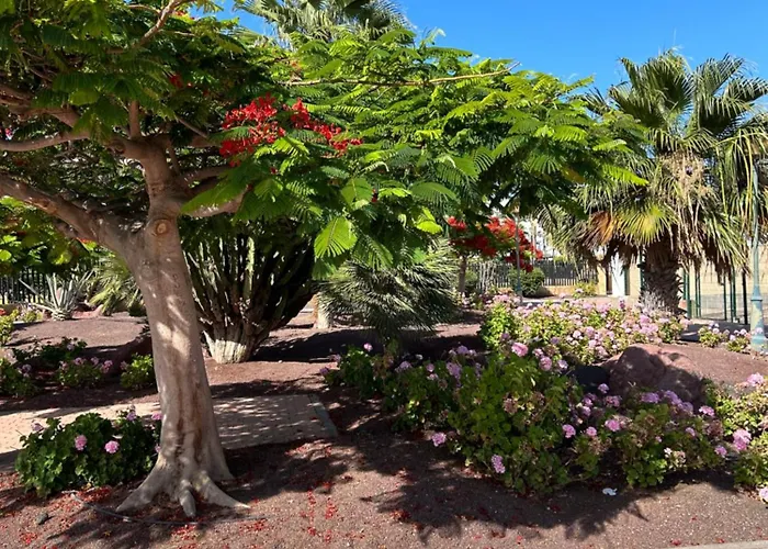 Honey Bunch * كاليتا ذي فوستي