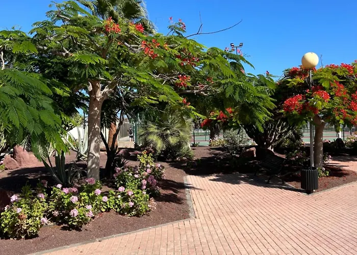 شقة Honey Bunch كاليتا ذي فوستي