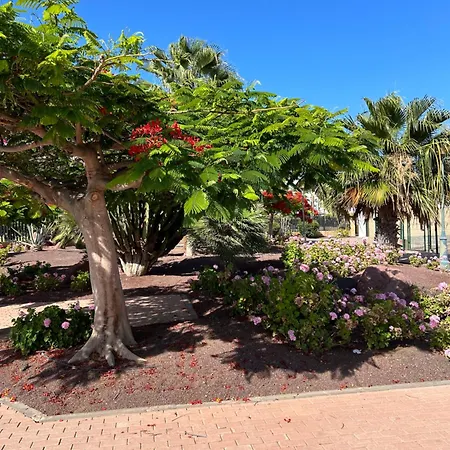 Honey Bunch * Caleta De Fuste